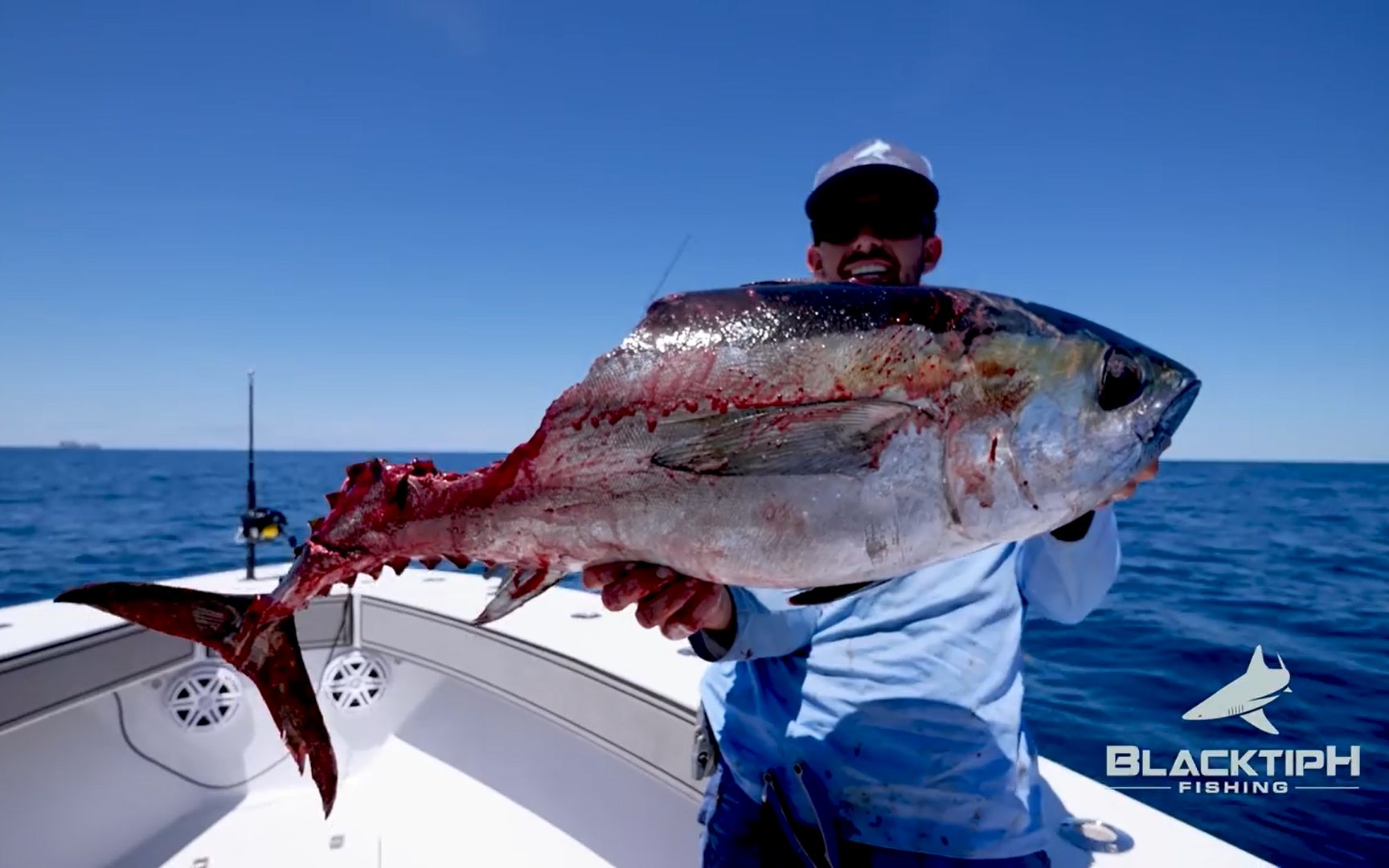 巨大的金枪鱼刚上钩被鲨鱼咬去了一半太恐怖了