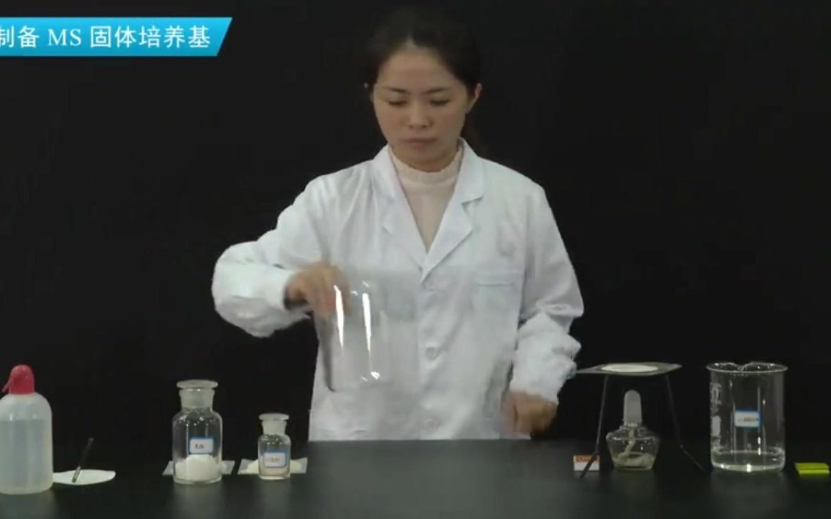 [图]高中生物选修三菊花的组织培养