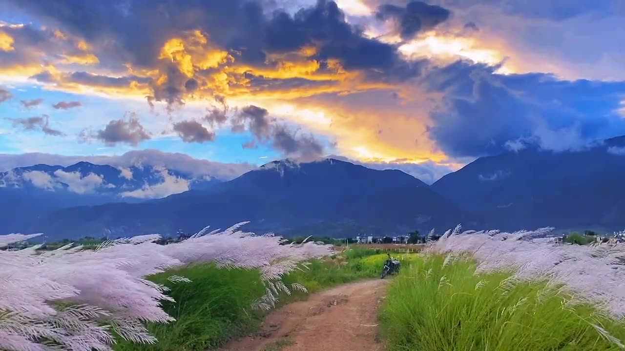 微风拂过_哔哩哔哩_bilibili