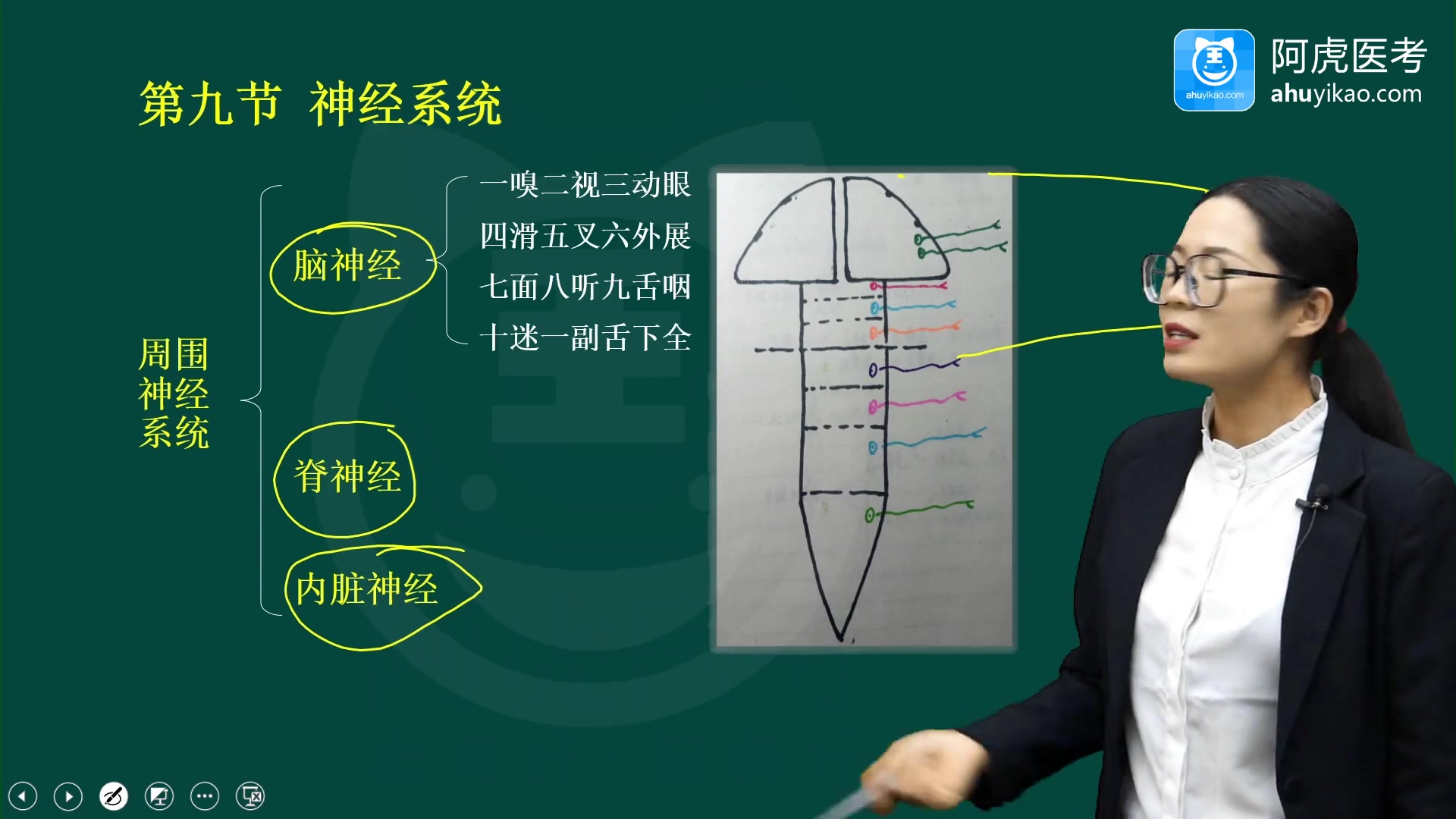 2022病案信息技术师相关专业知识考试视频课程培训课件讲解哔哩哔哩bilibili