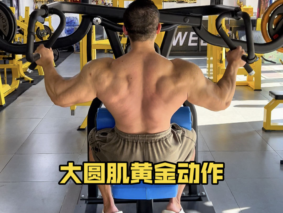 大圆肌最好的动作之一!大剪刀拉背!哔哩哔哩bilibili