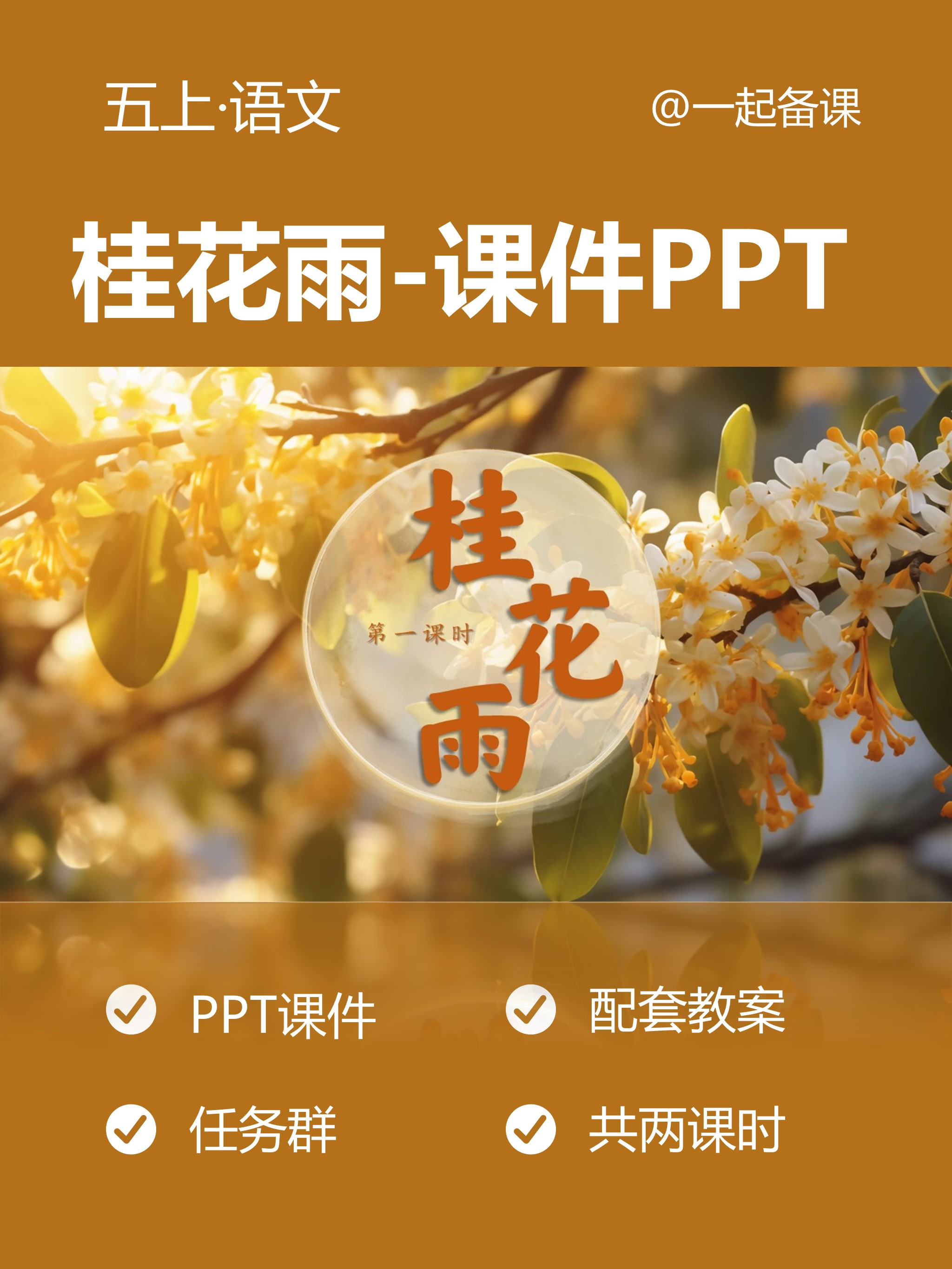 《桂花雨》,让秋天的香气弥漫课堂!