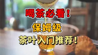 Download Video: 喝茶必看！保姆级茶叶入门推荐！