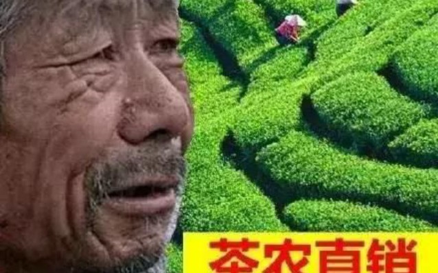 【茶叶滞销,帮帮我们】_哔哩哔哩 (゜-゜)つロ 干杯~-bilibili