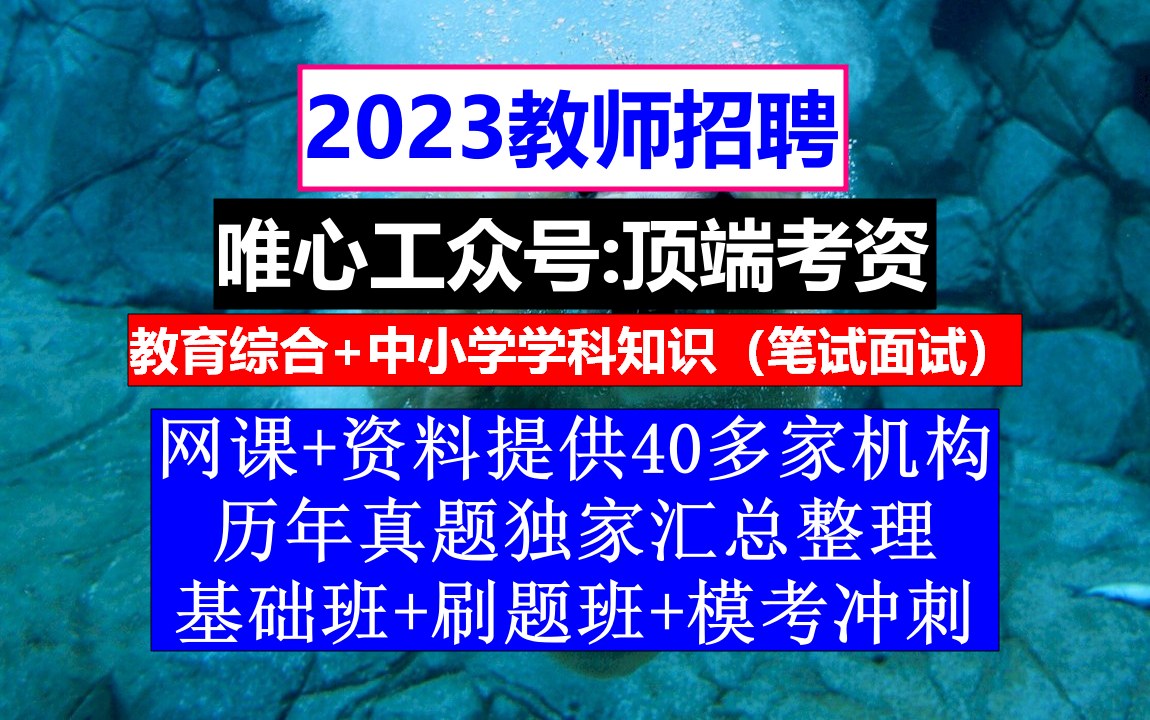 西藏教师招聘幼儿园学科知识,教师招聘考试一几次,教师招聘考试哔哩哔哩bilibili