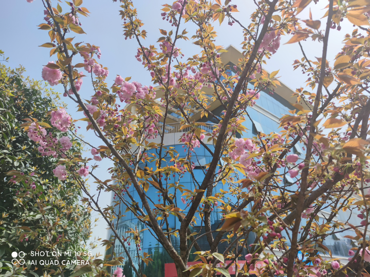 [图]在宜昌上大学会遇见什么风景