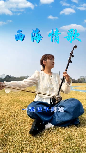 刀郎西海情歌二胡演奏歌曲视频
