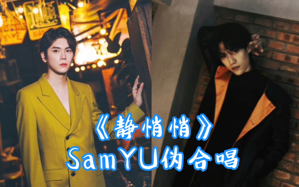 【SamYU】《静悄悄》林子闳&杨宇腾伪合唱,“我这里好安静,想听你说说话.”哔哩哔哩bilibili