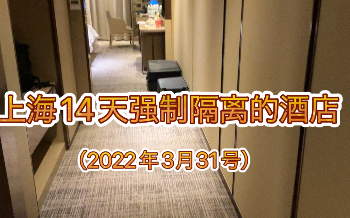上海14天强制隔离的酒店