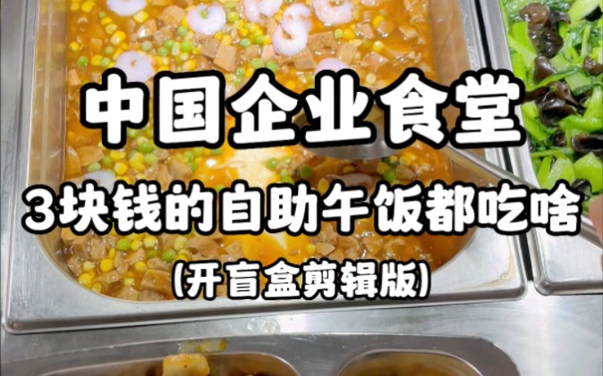 互联网食堂开饭啦!你们今天都吃啥啦?哔哩哔哩bilibili