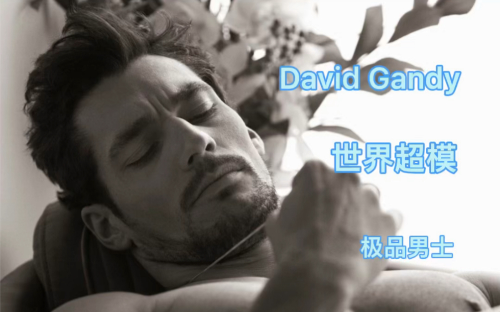 英国男模帅大叔David Gandy男神写真合集哔哩哔哩bilibili