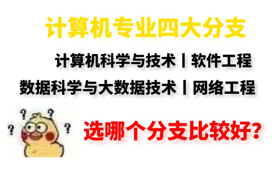 计算机专业有四个分支,计算机科学与技术,软件工程,网络工程,数据科学与大数据技术,选哪个分支比较好?哔哩哔哩bilibili