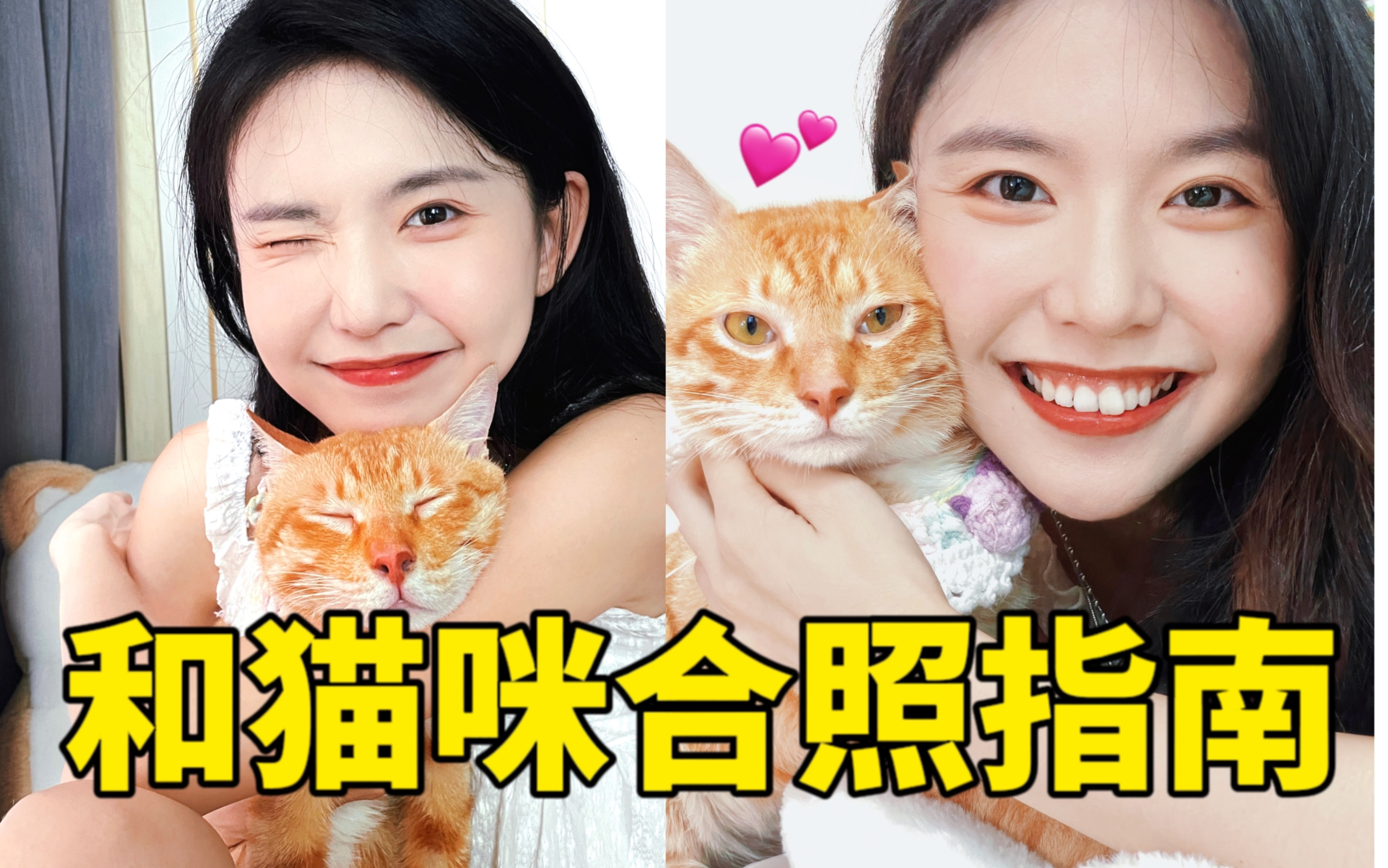 如何说服一只猫和你拍合照有效出片