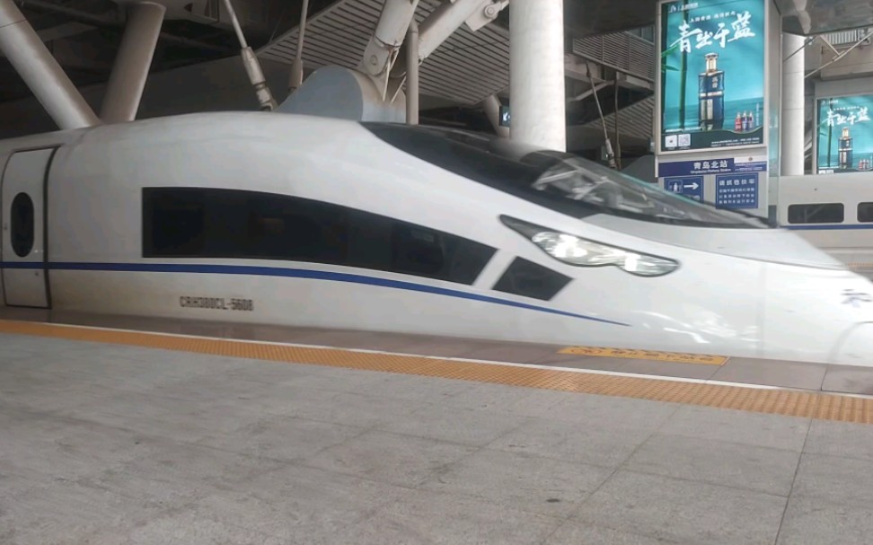 crh380cl鲨鱼图片