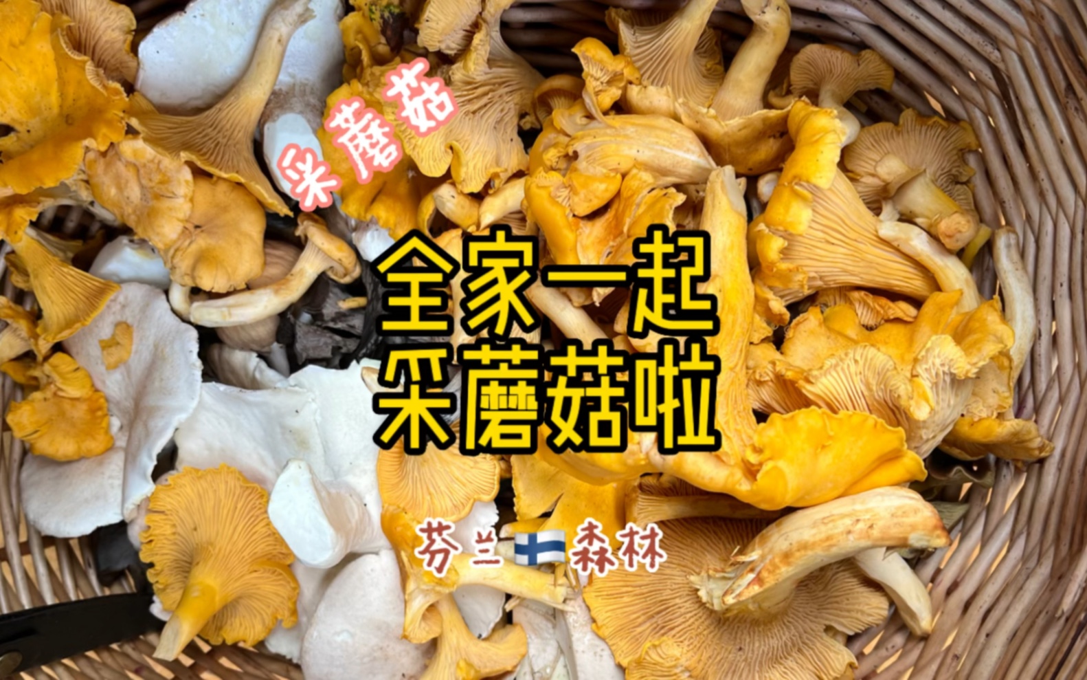 全家一起采蘑菇啦!大家一起来!蘑菇不在乎多少,气氛一定要欢乐!哔哩哔哩bilibili