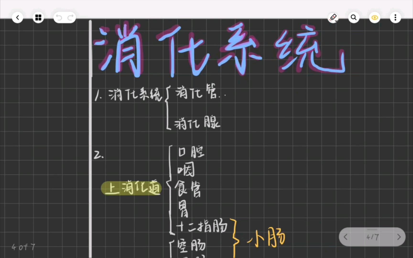 人体解剖学【2.消化系统】(上) 咽峡/幽门窦/食管三狭窄/鼻咽癌/梨状隐窝哔哩哔哩bilibili