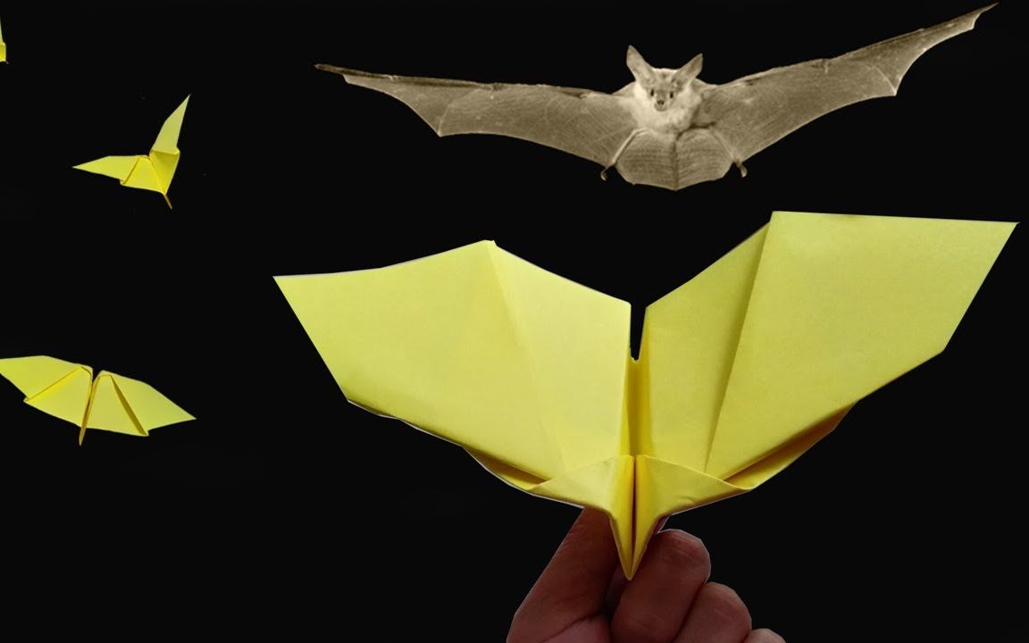 仿蝙蝠纸飞机图片