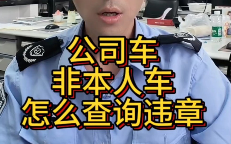 公司车非本人车怎么查询违章哔哩哔哩bilibili