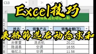 Excel技巧_表格筛选后动态求和