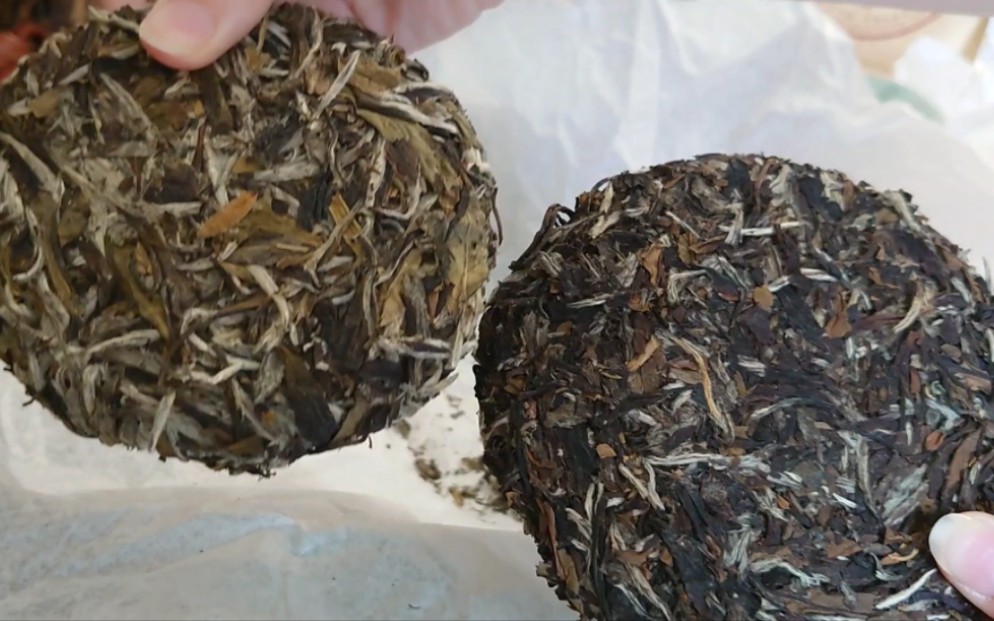 海量茶样试茶(三十二),2011政和白牡丹饼茶,政和的茶比较玻璃光滑感,豆浆香,想要了解政和老白茶的话,这款就是很好的选择哔哩哔哩bilibili