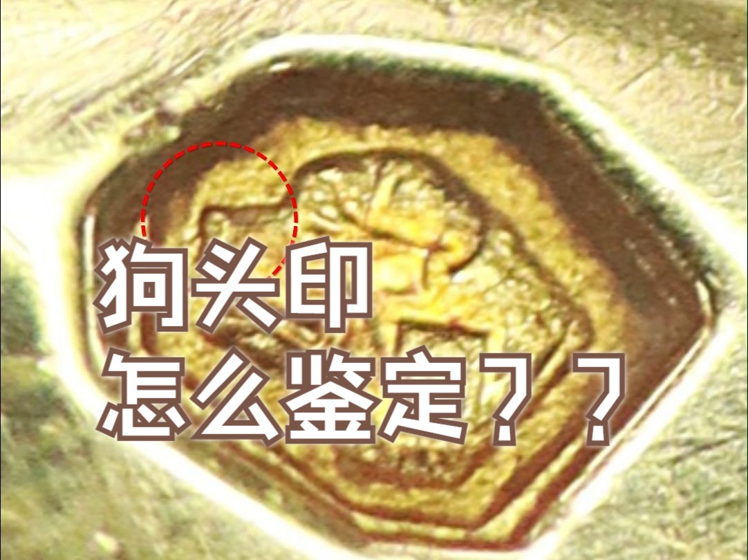 狗头印怎么鉴定?