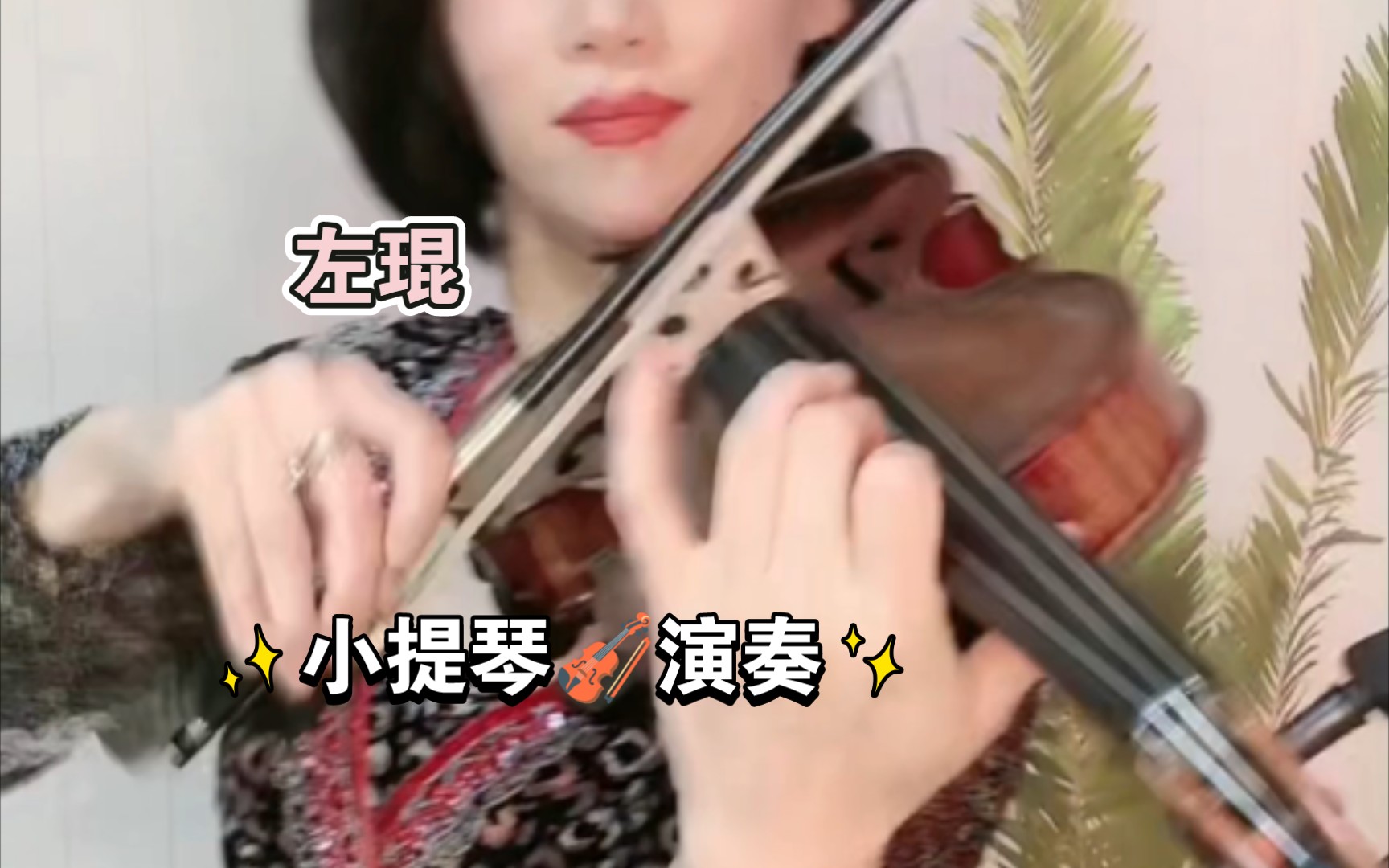 左琨老师演奏的曲子真好听,因为没有学过专业音乐课,故不知曲名,只是听个热闹听个感觉哔哩哔哩bilibili