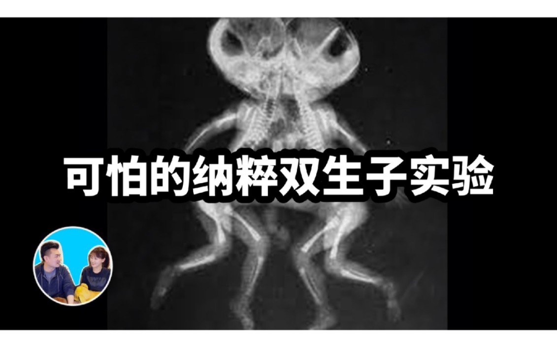 2024/03/02【老高与小茉】【真实】纳粹双生子实验-老高小茉B站日更新-老高小茉B站日更新-哔哩哔哩视频