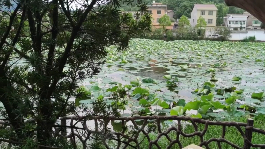 活動 湖南瀏陽大瑤鄉村生活記錄(南山村)