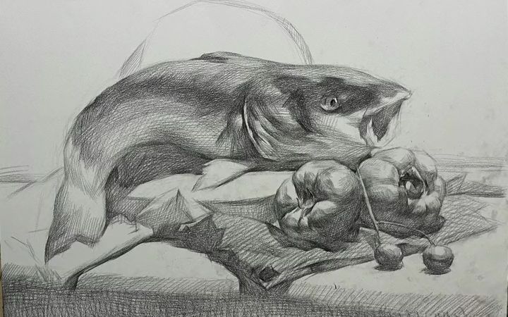 素描动物鲨鱼画法步骤一起来学画画绘画教程