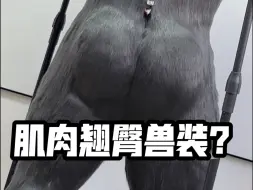 Descargar video: 肌肉兽装 委托展示