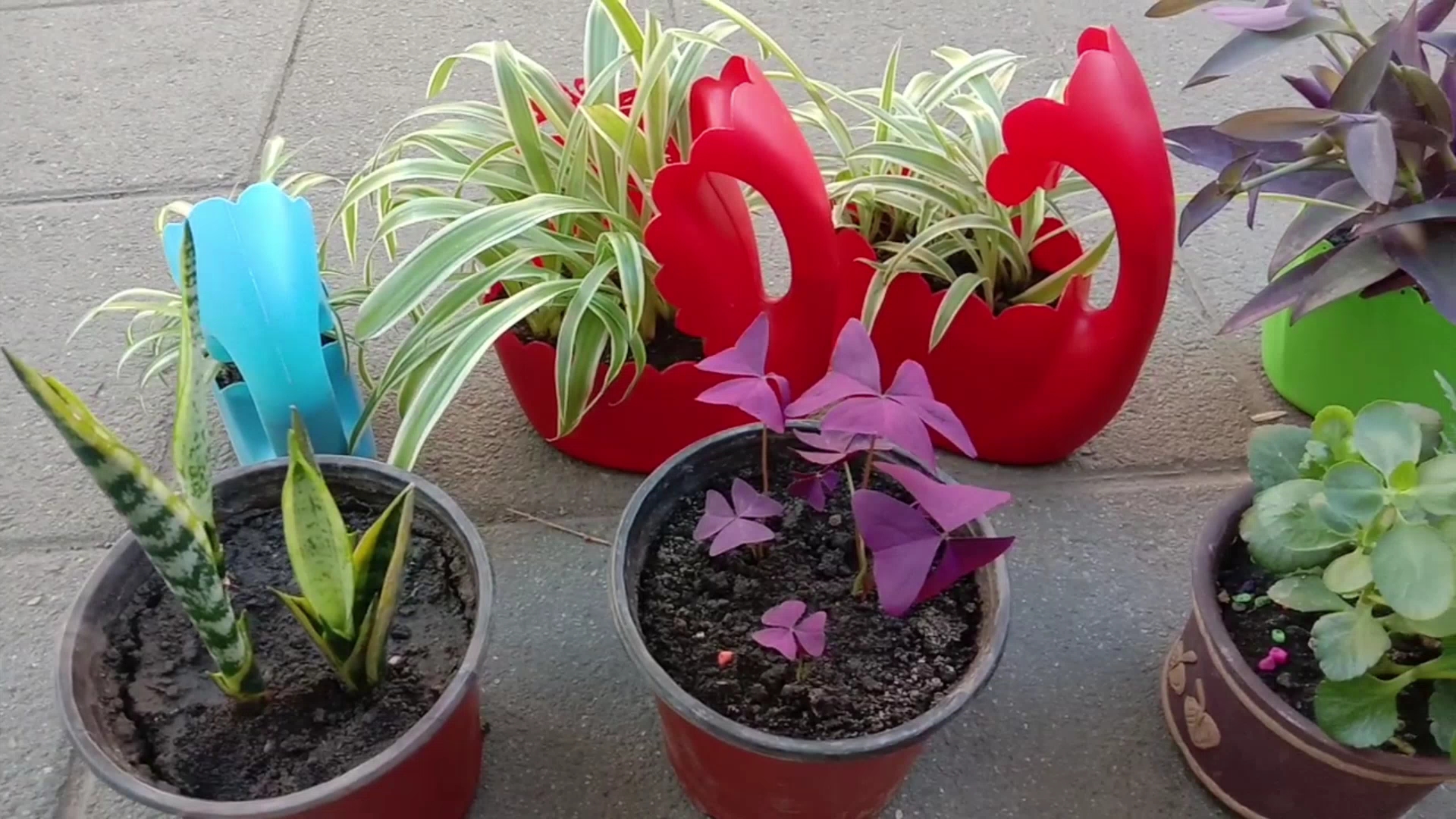 手工小花盆