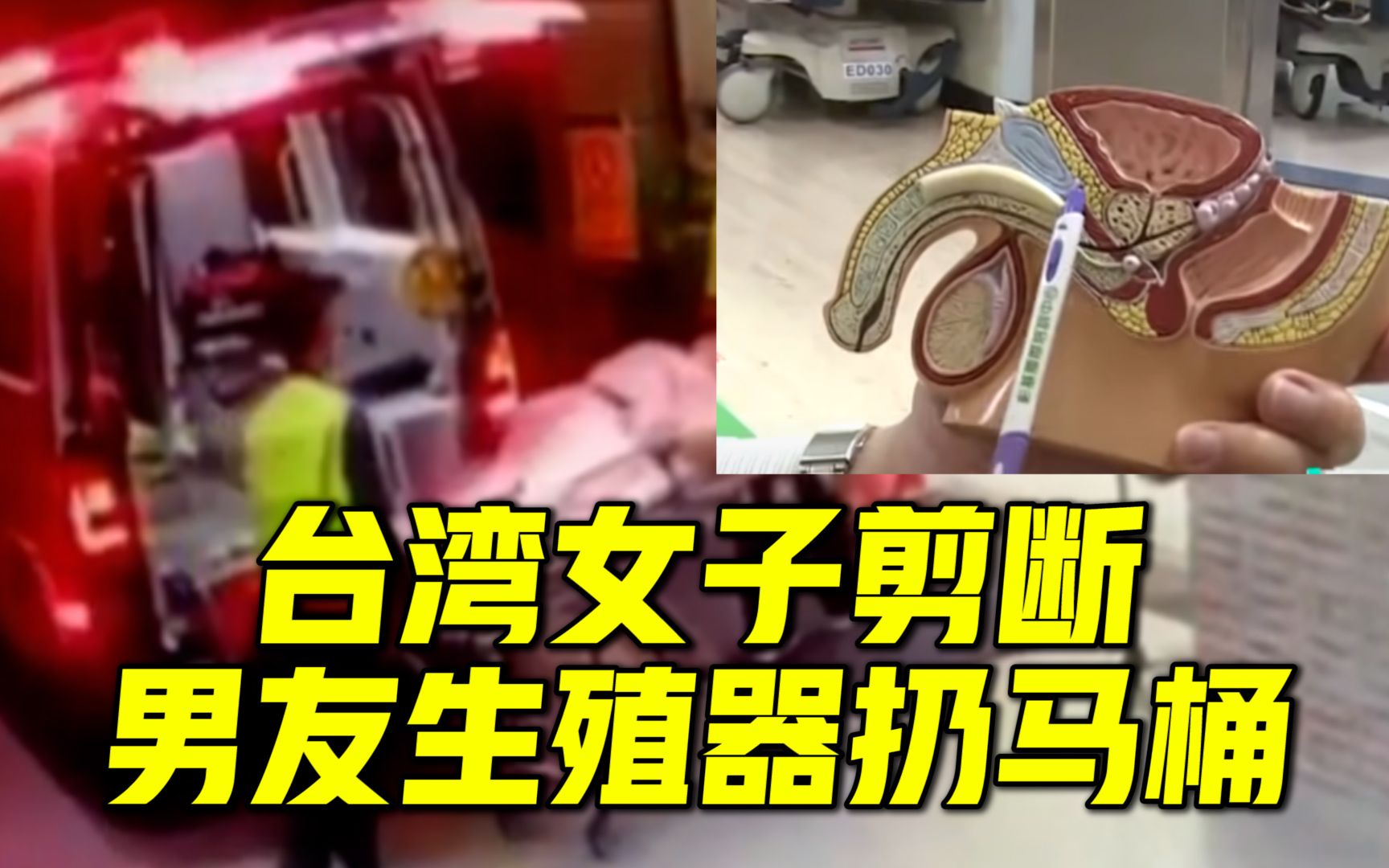 台湾一女子剪断男友生殖器冲马桶,法院:嫌疑人可减刑,一审获刑5年