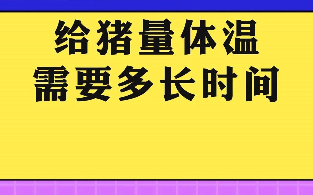 猪量体温,体温计插入肛门最短多长时间就能量准确?猪量体温有哪些注意事项?你都知道吗?哔哩哔哩bilibili