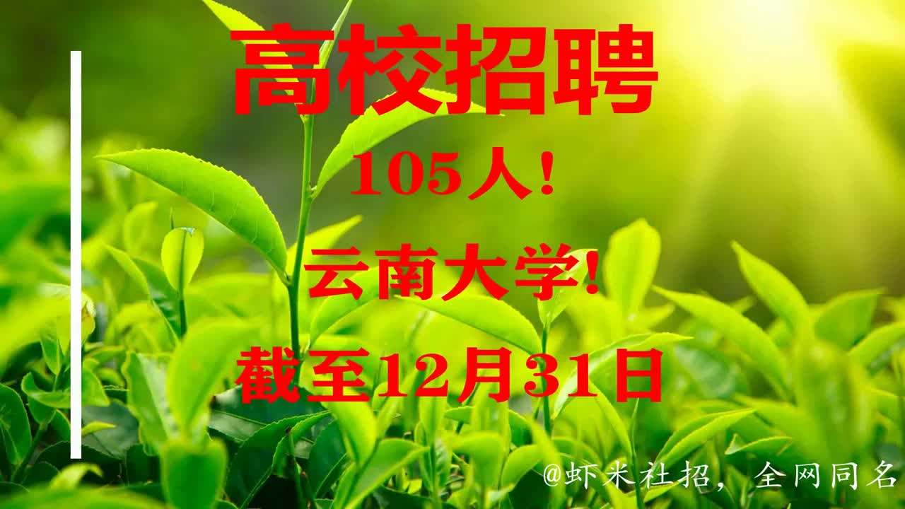 【云南高校招聘】105人!云南大学!报名截至12月31日哔哩哔哩bilibili