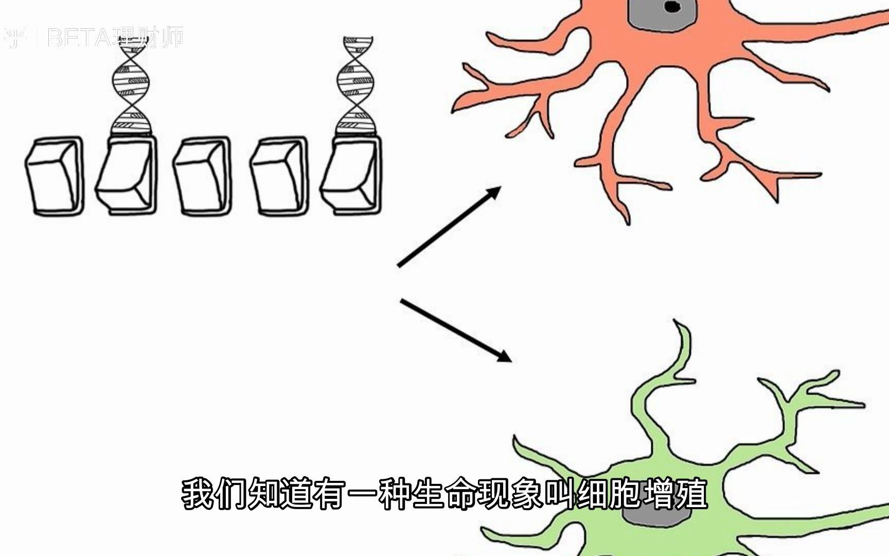 新手必学的裂变营销技巧哔哩哔哩bilibili