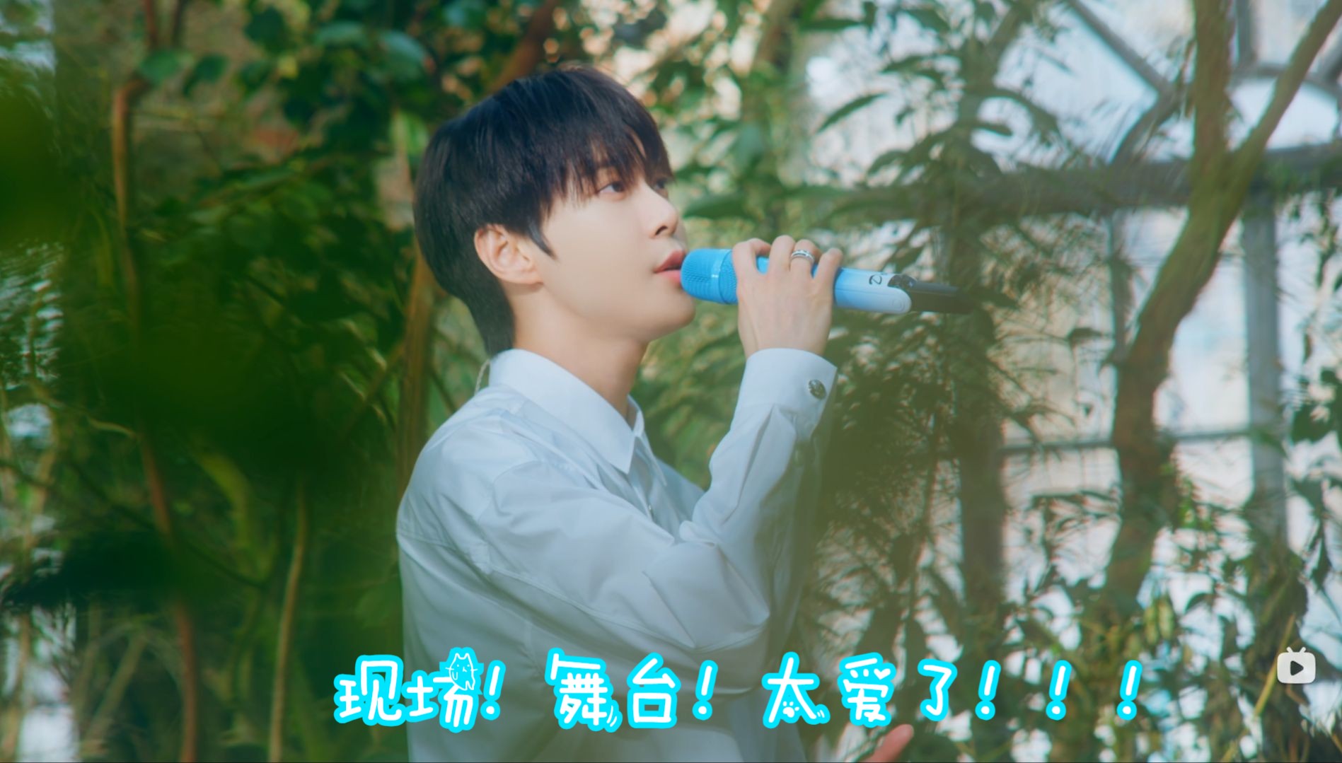 【金道英/nct】reaction solo的舞台!真的好喜欢非主打加利福尼亚!