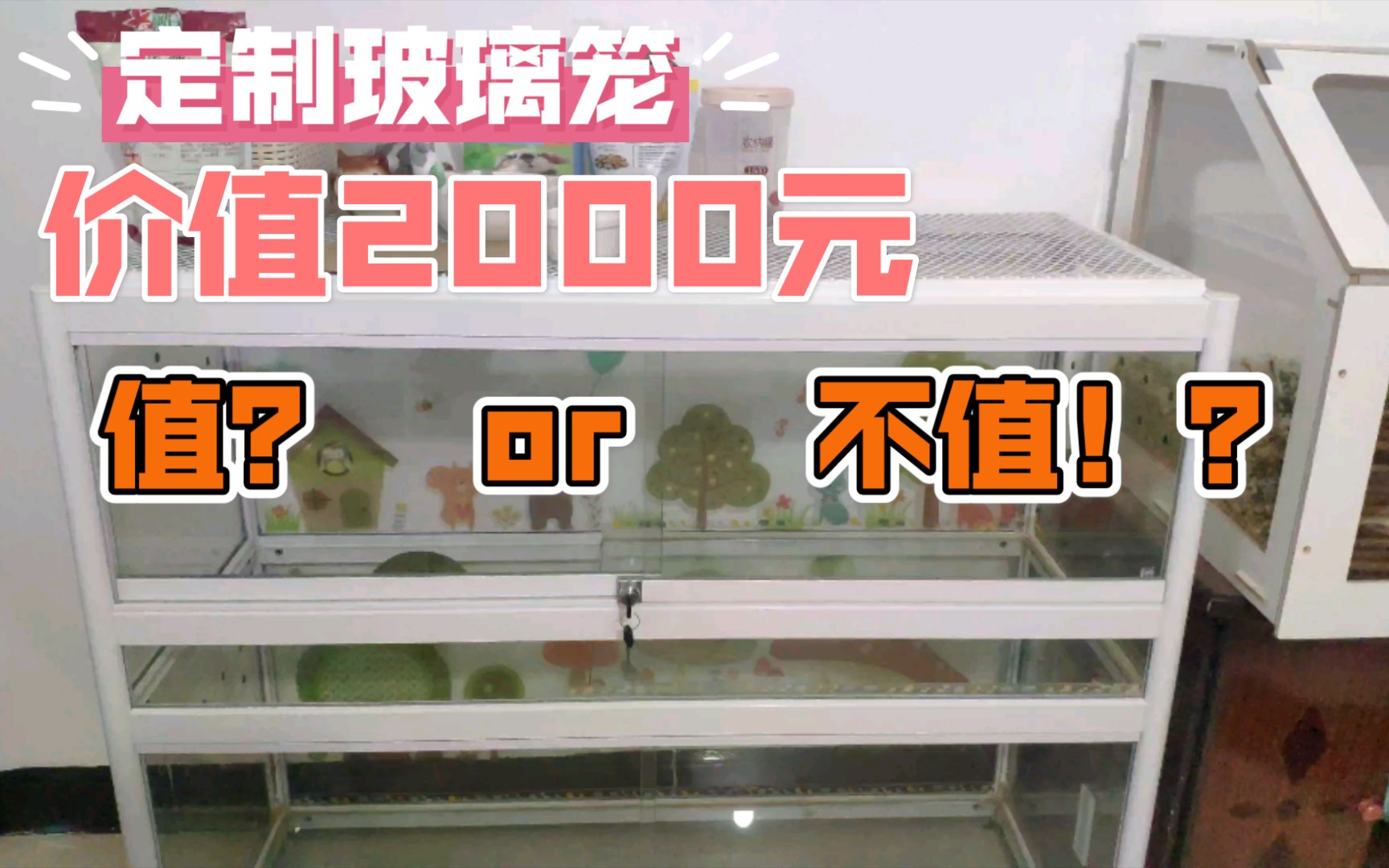 [图]将近2000块的定制爬缸玻璃笼，真实使用感受！好用还是踩雷？