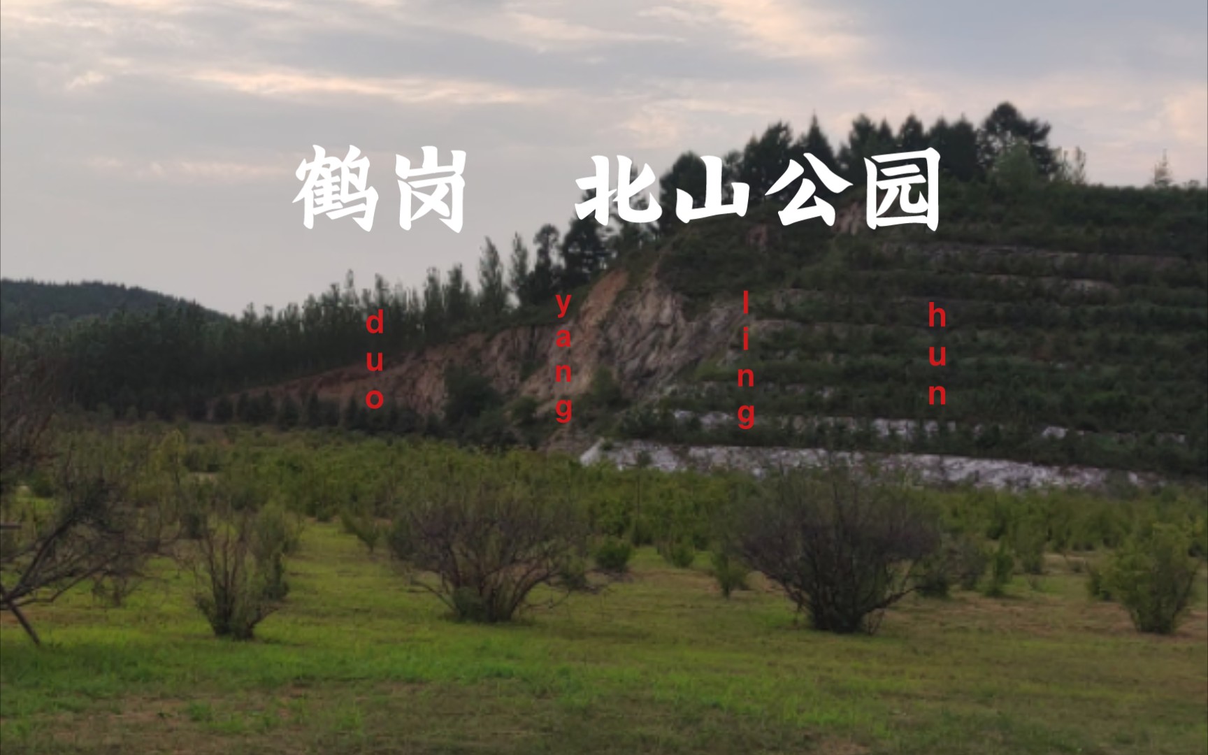 鹤岗北山公园简介图片