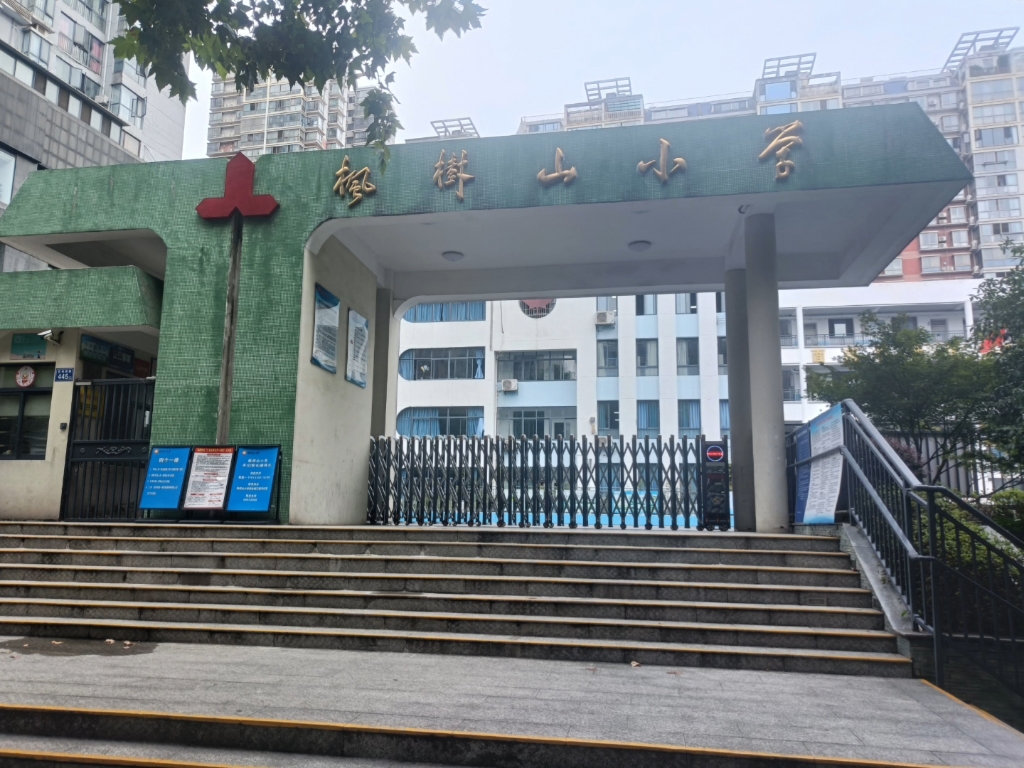 枫树山小学本部图片