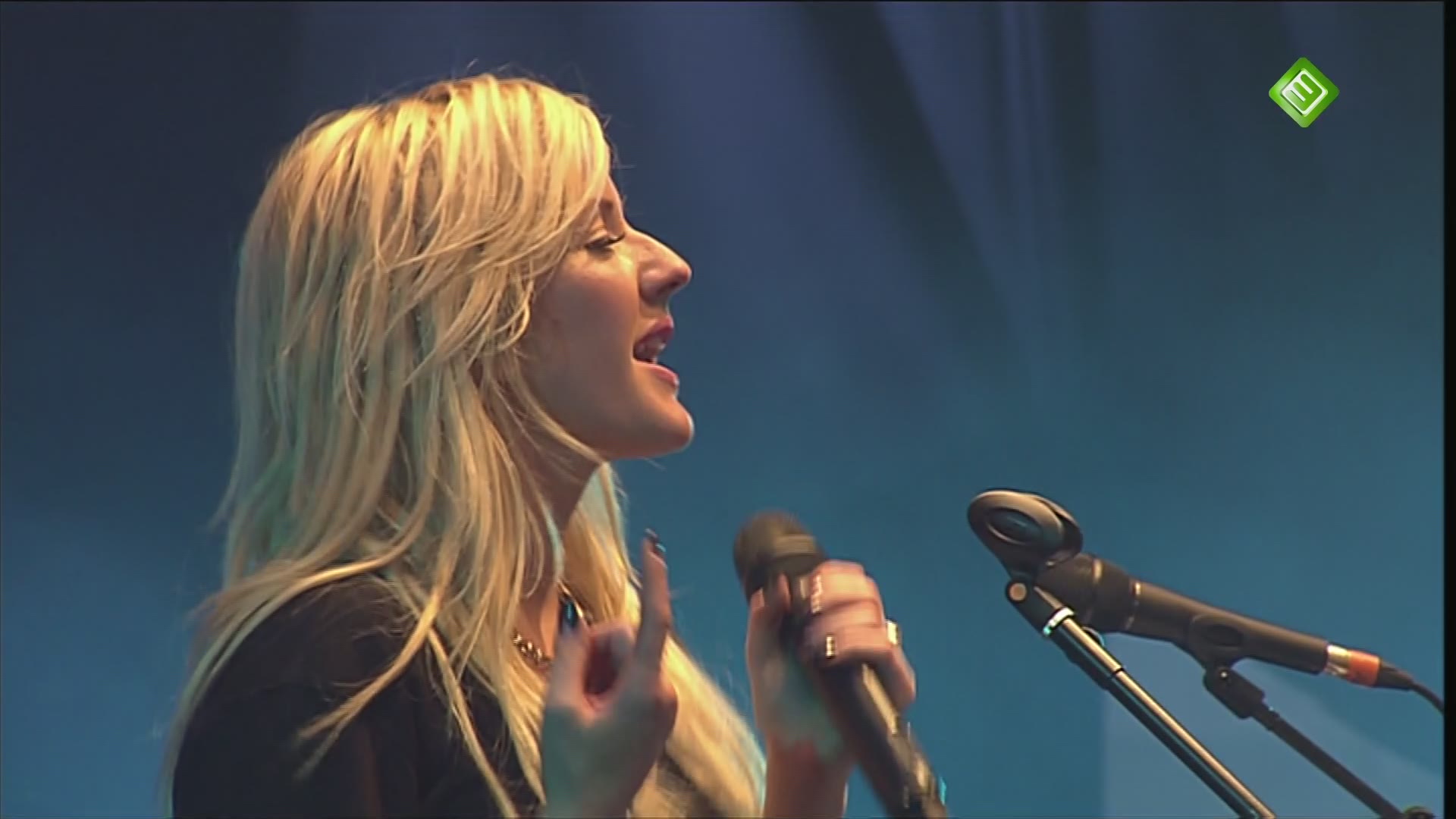 [图]Ellie Goulding - I Need Your Love (Pinkpop 2013)