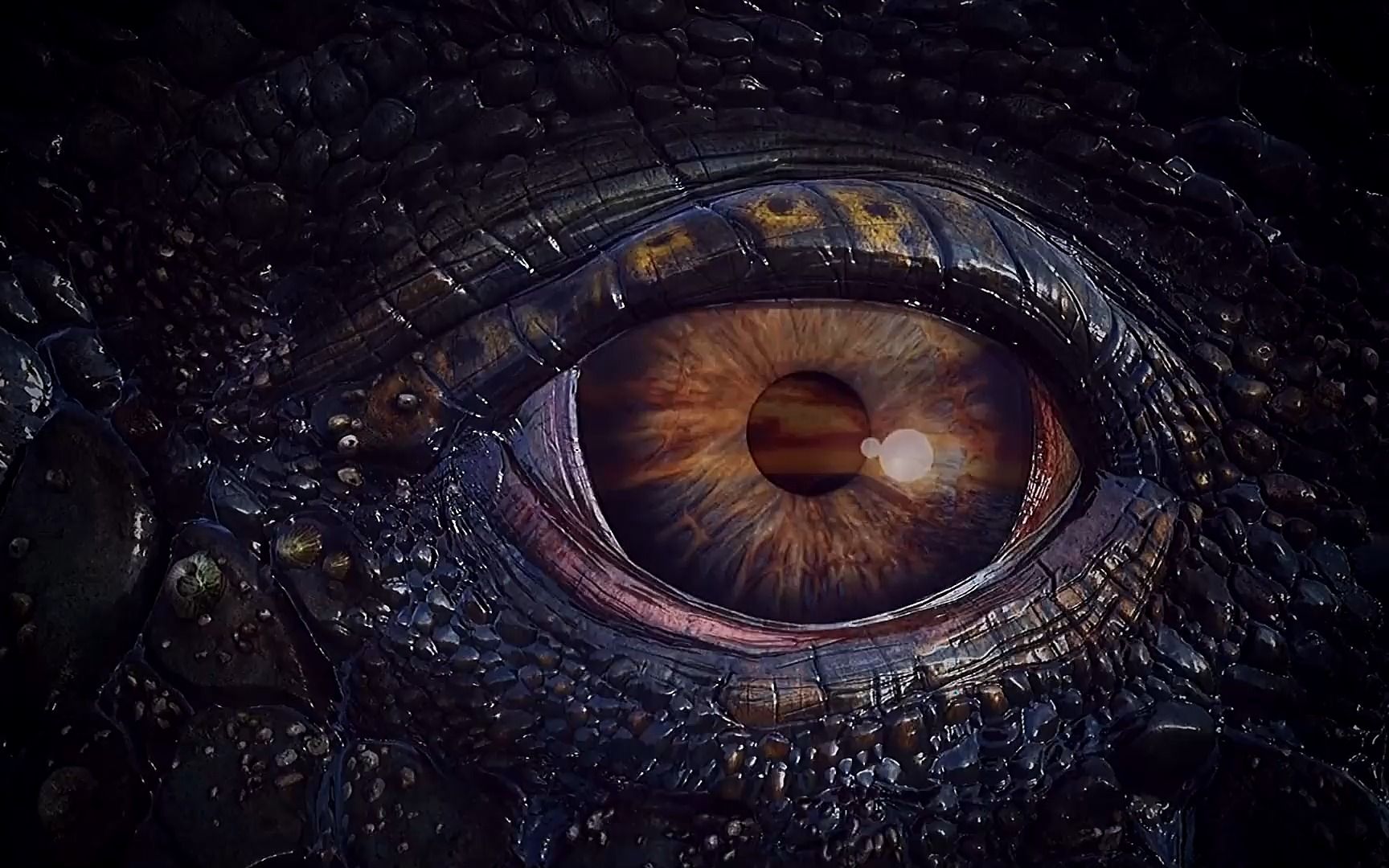 可能会让你无比震撼! #动物世界 #动物眼里的世界 #神奇动物