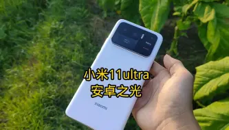 Descargar video: 小米11ultra拍照依旧很强