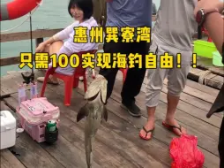 出海钓鱼2天一夜只需100就能体验