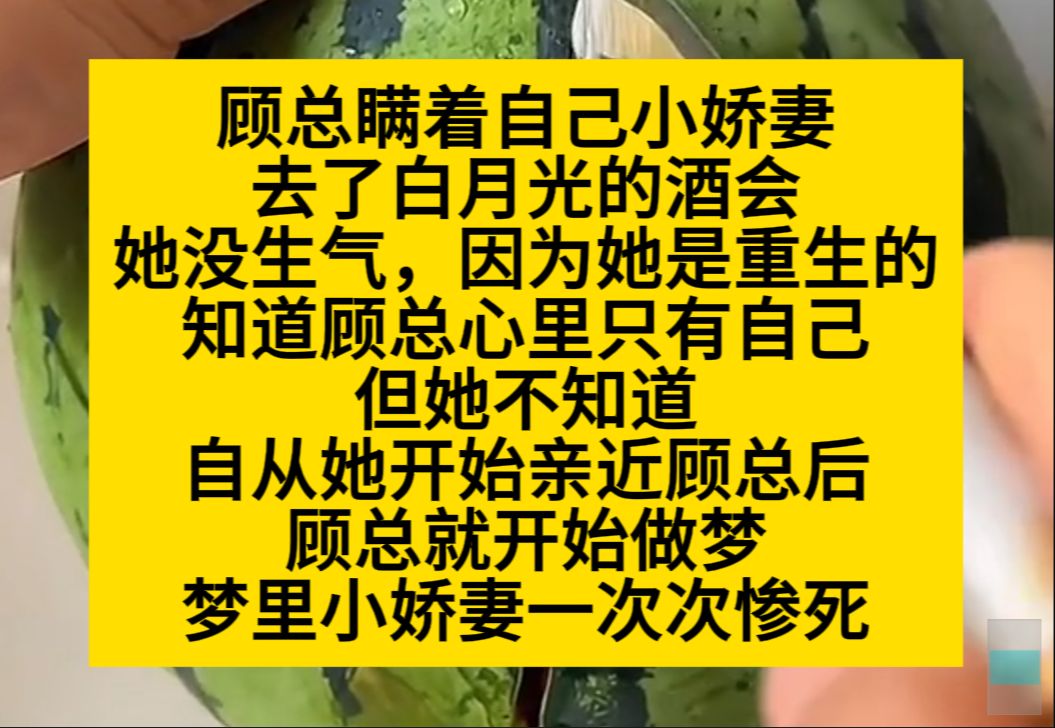 顾总瞒着自己的小娇妻去了白月光的酒会,但女主没生气,因为她知道顾总心里只有自己……小说推荐哔哩哔哩bilibili