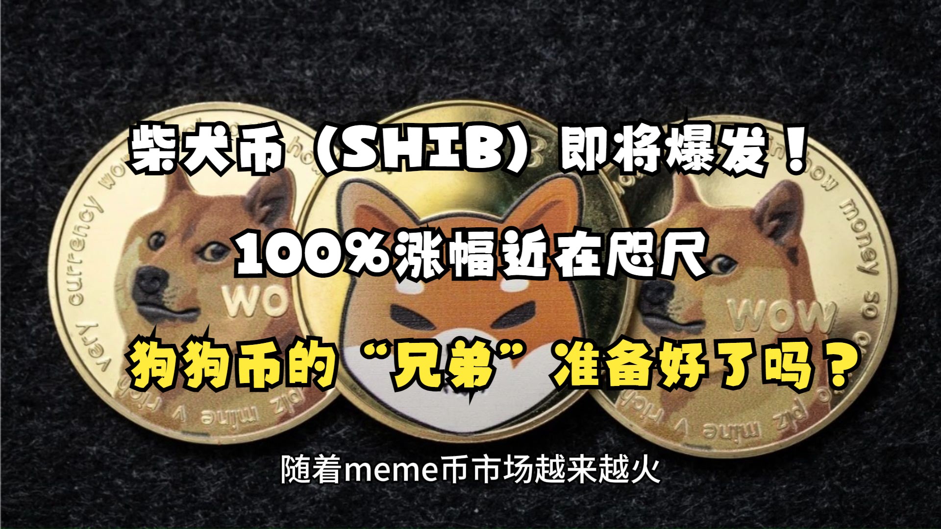 柴犬币(shib)即将爆发!100%涨幅近在咫尺,狗狗币的"兄弟"准备好了吗?