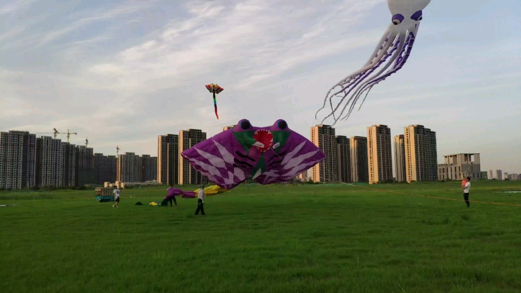 南京放飞30米鳐鱼风筝