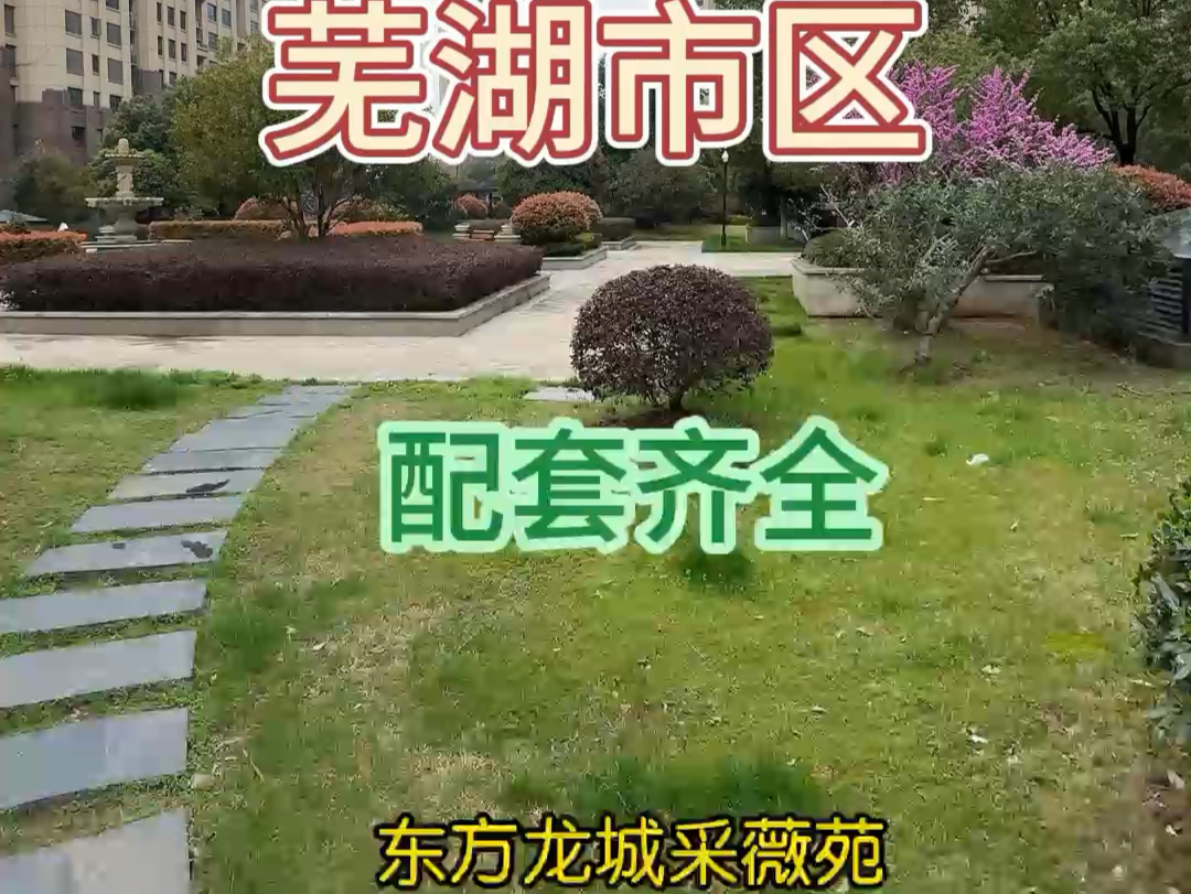 芜湖市区,全新毛坯,配套齐全哔哩哔哩bilibili