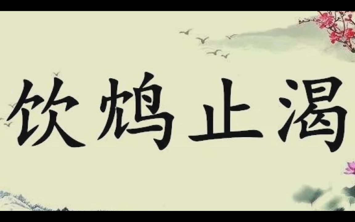 成语《饮鸩止渴》中鸩鸟的真的存在吗?哔哩哔哩bilibili