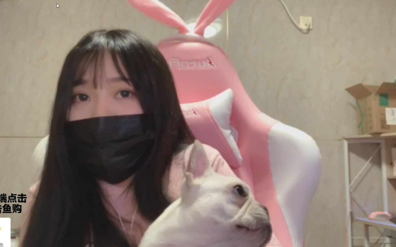 兄弟们!一条小团团露脸啦!