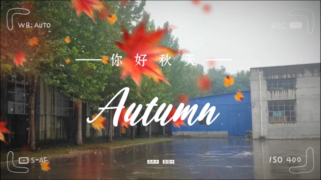 秋雨/绵绵哔哩哔哩bilibili